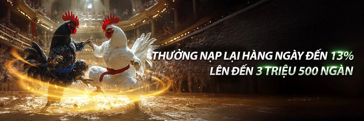 Sân đấu đá gà trực tuyến 234win sôi động