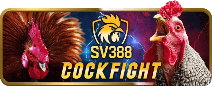 Các kênh liên hệ hỗ trợ khách hàng của 234win