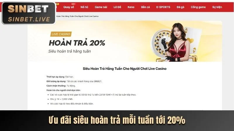 Xếp chồng tiền xu và biểu tượng hoàn trả hàng tuần