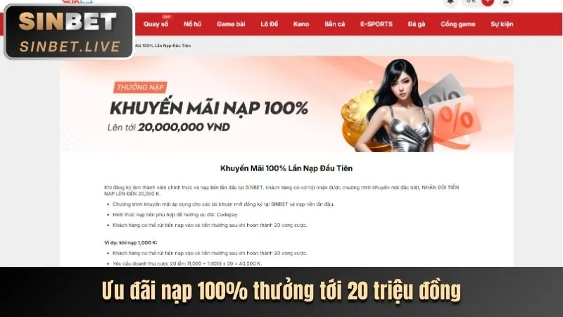 Hộp quà tặng chào mừng thành viên mới 234win